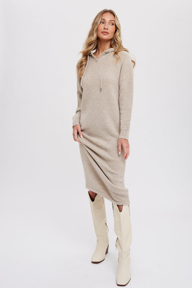 Averie Hoodie Shift Sweater Dress