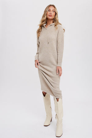 Averie Hoodie Shift Sweater Dress
