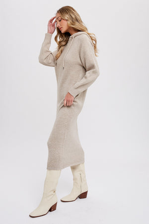Averie Hoodie Shift Sweater Dress
