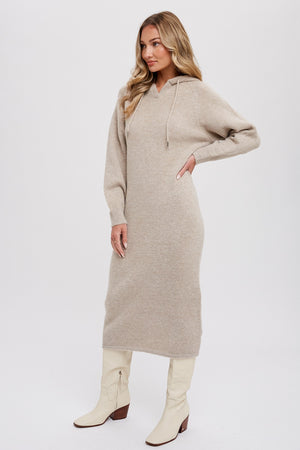 Averie Hoodie Shift Sweater Dress